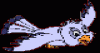 Animations - 377